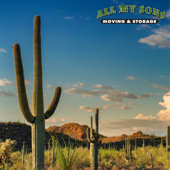 The skyline of Tucson, Arizona.